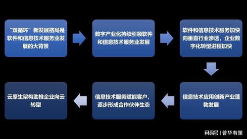 軟件和信息技術(shù)服務(wù)行業(yè) 競爭格局剖析與六大核心發(fā)展趨勢