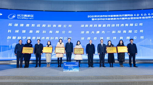 長沙市軟件信息產(chǎn)業(yè)規(guī)模躍居中部城市第二 技術(shù)與服務(wù)雙輪驅(qū)動的發(fā)展之路